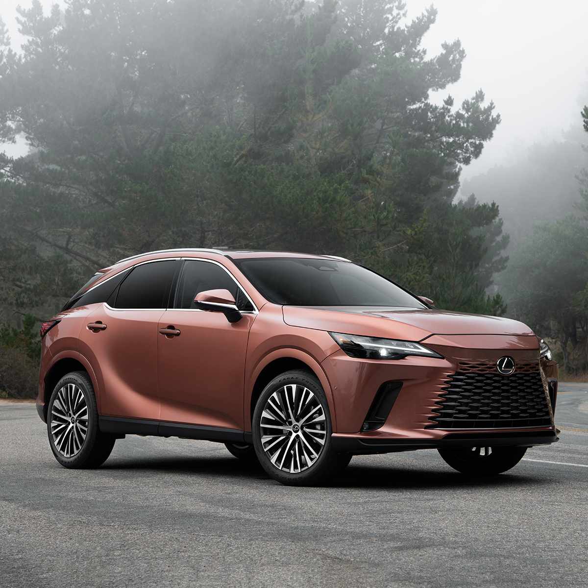lexus rx 350 overview mgp